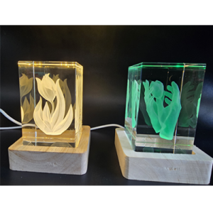 Verlichte Kristalblokken met 3D Gravure